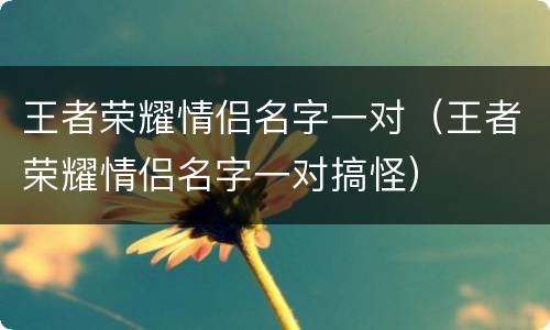王者荣耀情侣名字一对（王者荣耀情侣名字一对搞怪）