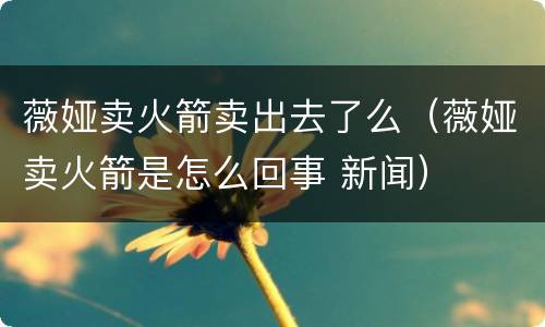 薇娅卖火箭卖出去了么（薇娅卖火箭是怎么回事 新闻）