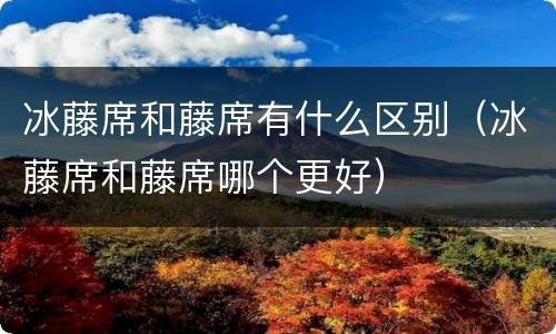 冰藤席和藤席有什么区别（冰藤席和藤席哪个更好）