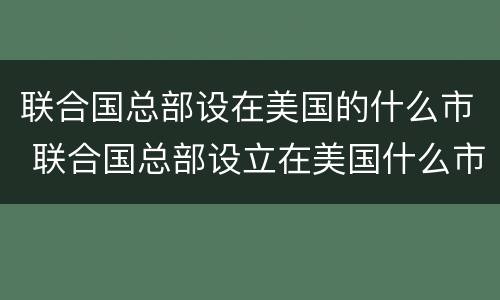 联合国总部设在美国的什么市 联合国总部设立在美国什么市