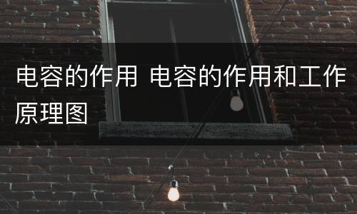 电容的作用 电容的作用和工作原理图