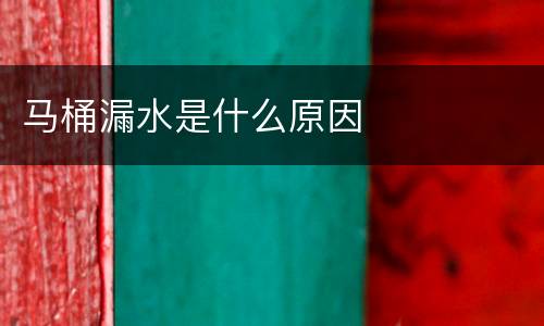 马桶漏水是什么原因