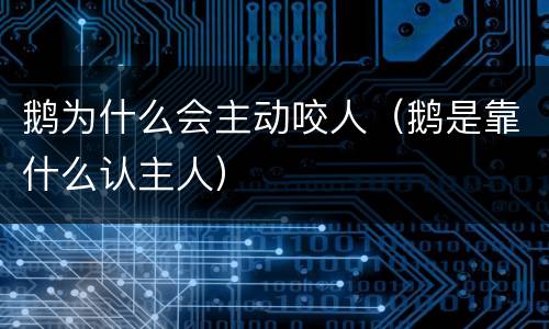 鹅为什么会主动咬人（鹅是靠什么认主人）