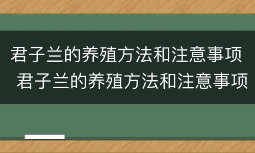 君子兰的养殖方法和注意事项 君子兰的养殖方法和注意事项温度