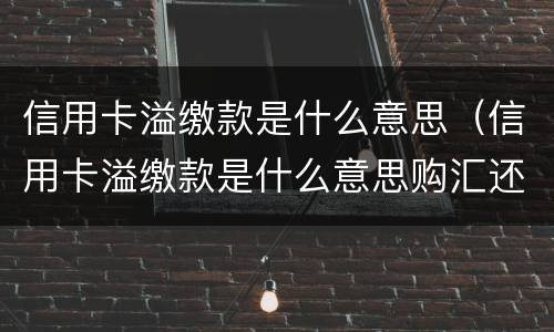 信用卡溢缴款是什么意思（信用卡溢缴款是什么意思购汇还款）