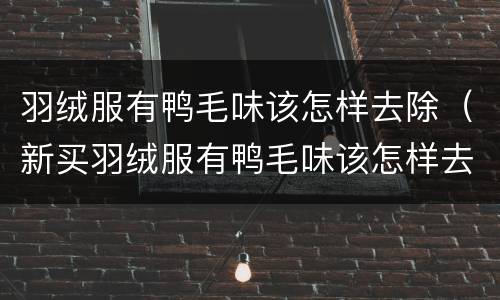 羽绒服有鸭毛味该怎样去除（新买羽绒服有鸭毛味该怎样去除）