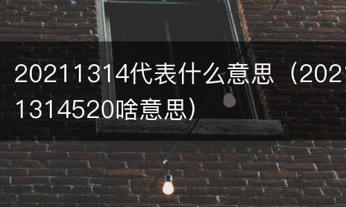 20211314代表什么意思（20211314520啥意思）
