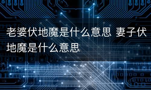 老婆伏地魔是什么意思 妻子伏地魔是什么意思
