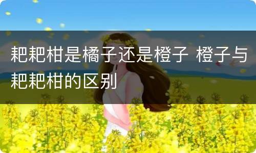 耙耙柑是橘子还是橙子 橙子与耙耙柑的区别