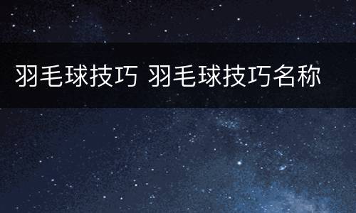 羽毛球技巧 羽毛球技巧名称