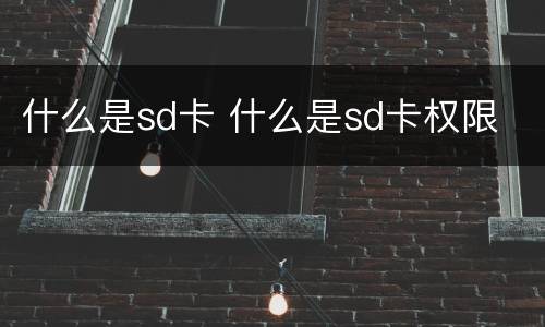 什么是sd卡 什么是sd卡权限