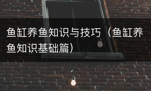 鱼缸养鱼知识与技巧（鱼缸养鱼知识基础篇）