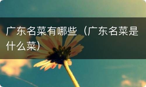 广东名菜有哪些（广东名菜是什么菜）