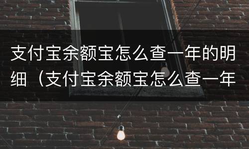 支付宝余额宝怎么查一年的明细（支付宝余额宝怎么查一年的明细查询）