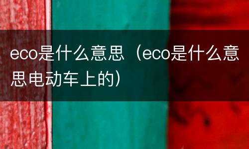 eco是什么意思（eco是什么意思电动车上的）
