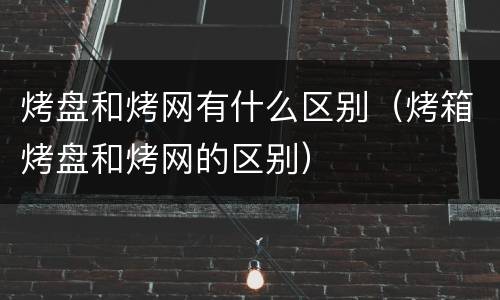 烤盘和烤网有什么区别（烤箱烤盘和烤网的区别）