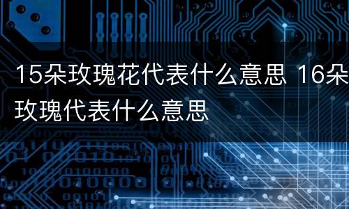 15朵玫瑰花代表什么意思 16朵玫瑰代表什么意思