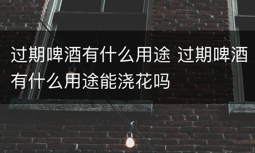 过期啤酒有什么用途 过期啤酒有什么用途能浇花吗