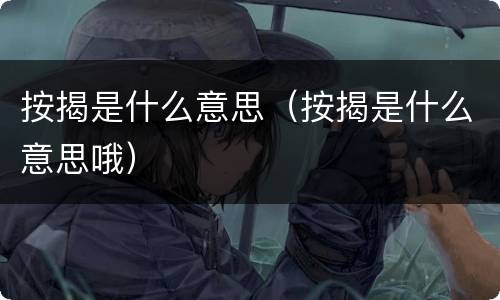 按揭是什么意思（按揭是什么意思哦）