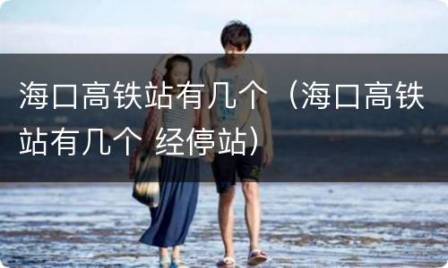 海口高铁站有几个（海口高铁站有几个 经停站）