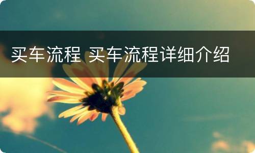 买车流程 买车流程详细介绍