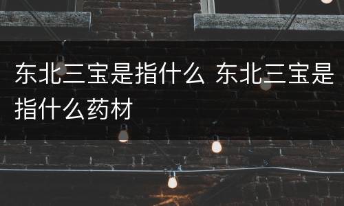 东北三宝是指什么 东北三宝是指什么药材