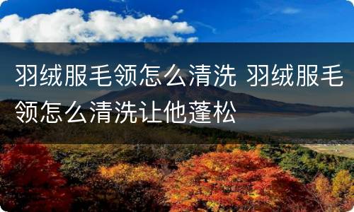 羽绒服毛领怎么清洗 羽绒服毛领怎么清洗让他蓬松