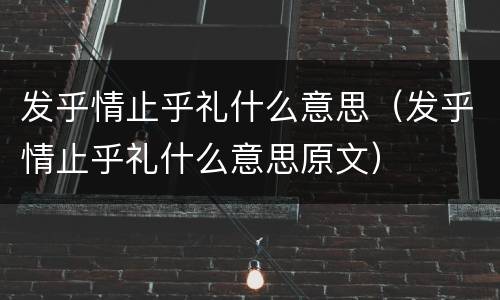 发乎情止乎礼什么意思（发乎情止乎礼什么意思原文）