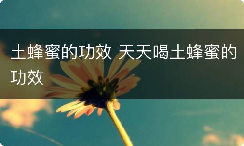 土蜂蜜的功效 天天喝土蜂蜜的功效