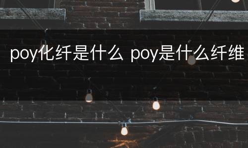 poy化纤是什么 poy是什么纤维