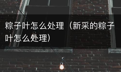 粽子叶怎么处理（新采的粽子叶怎么处理）