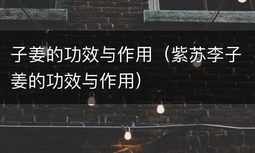 子姜的功效与作用（紫苏李子姜的功效与作用）