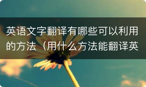 英语文字翻译有哪些可以利用的方法（用什么方法能翻译英语的中文）