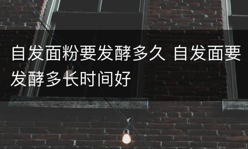 自发面粉要发酵多久 自发面要发酵多长时间好