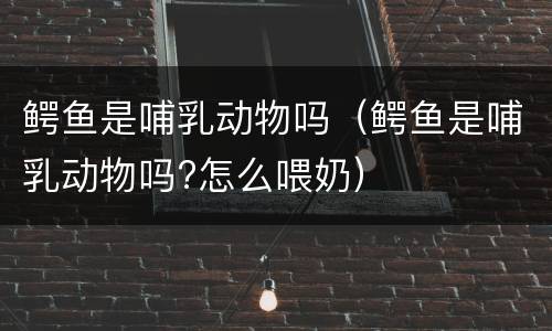 鳄鱼是哺乳动物吗（鳄鱼是哺乳动物吗?怎么喂奶）