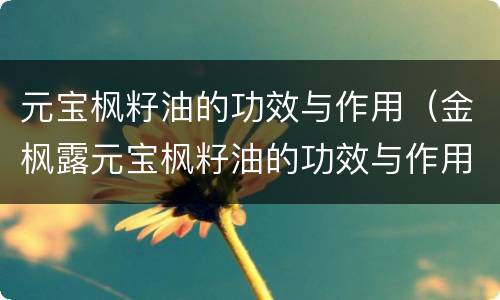元宝枫籽油的功效与作用（金枫露元宝枫籽油的功效与作用）