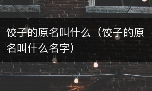 饺子的原名叫什么（饺子的原名叫什么名字）