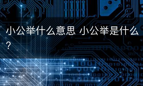 小公举什么意思 小公举是什么?
