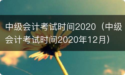 中级会计考试时间2020（中级会计考试时间2020年12月）