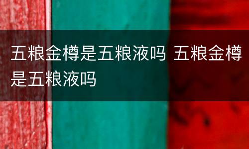 五粮金樽是五粮液吗 五粮金樽是五粮液吗