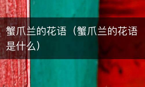 蟹爪兰的花语（蟹爪兰的花语是什么）