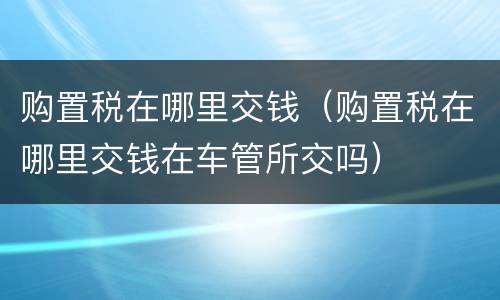 购置税在哪里交钱（购置税在哪里交钱在车管所交吗）