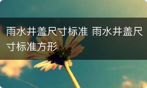 雨水井盖尺寸标准 雨水井盖尺寸标准方形