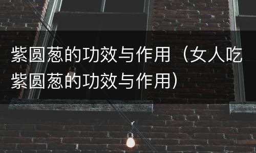 紫圆葱的功效与作用（女人吃紫圆葱的功效与作用）