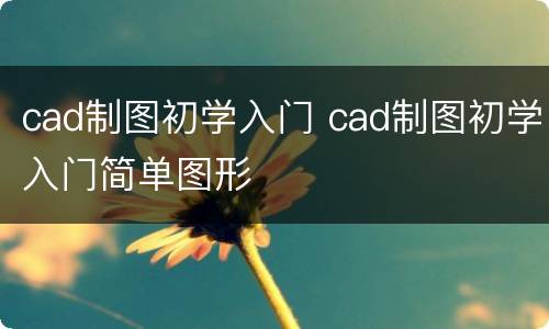 cad制图初学入门 cad制图初学入门简单图形