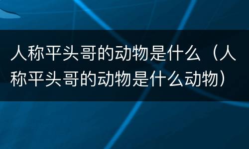 人称平头哥的动物是什么（人称平头哥的动物是什么动物）