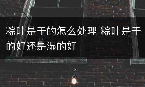 粽叶是干的怎么处理 粽叶是干的好还是湿的好