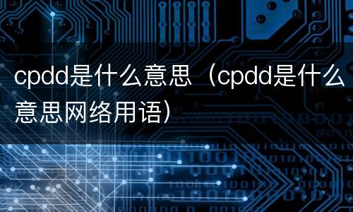 cpdd是什么意思（cpdd是什么意思网络用语）