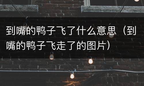 到嘴的鸭子飞了什么意思（到嘴的鸭子飞走了的图片）