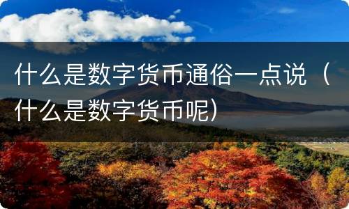 什么是数字货币通俗一点说（什么是数字货币呢）